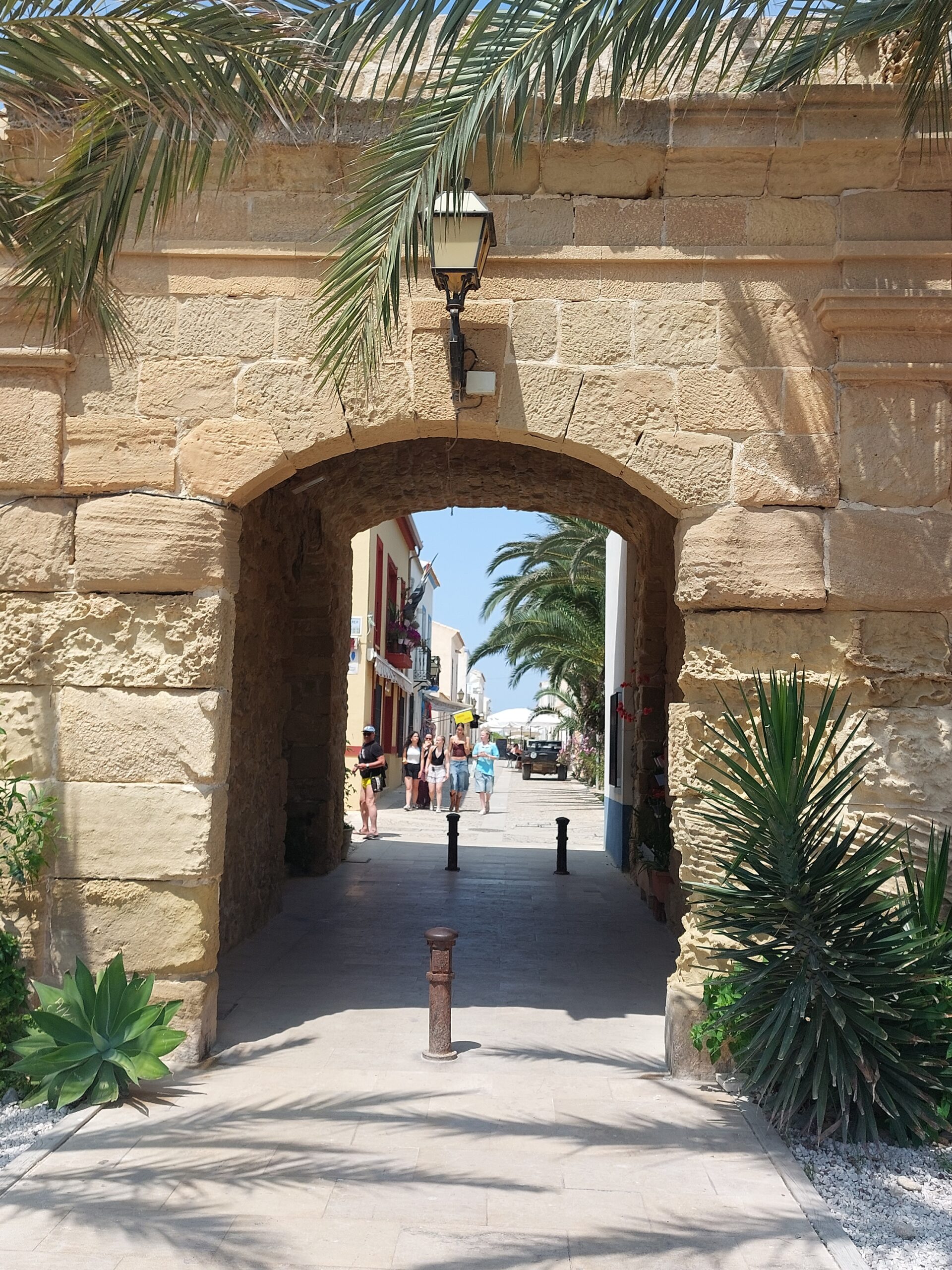 Tabarca Island Day Trip