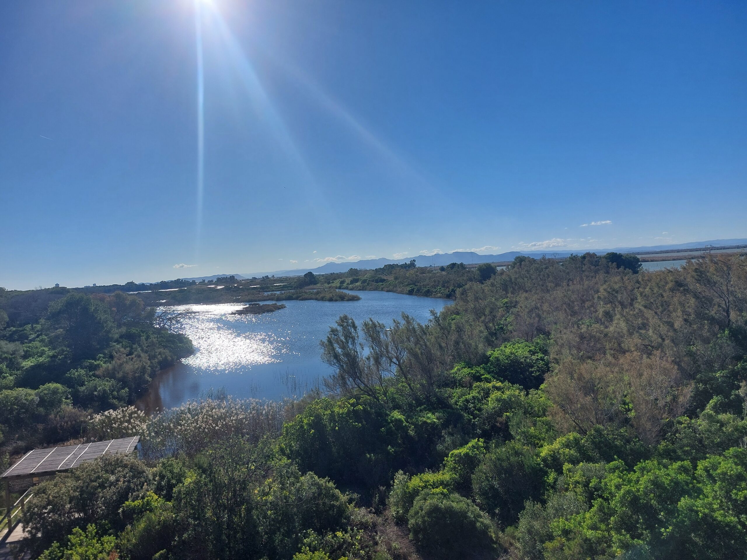 Albufera, Paella & Chocolate Day Trip