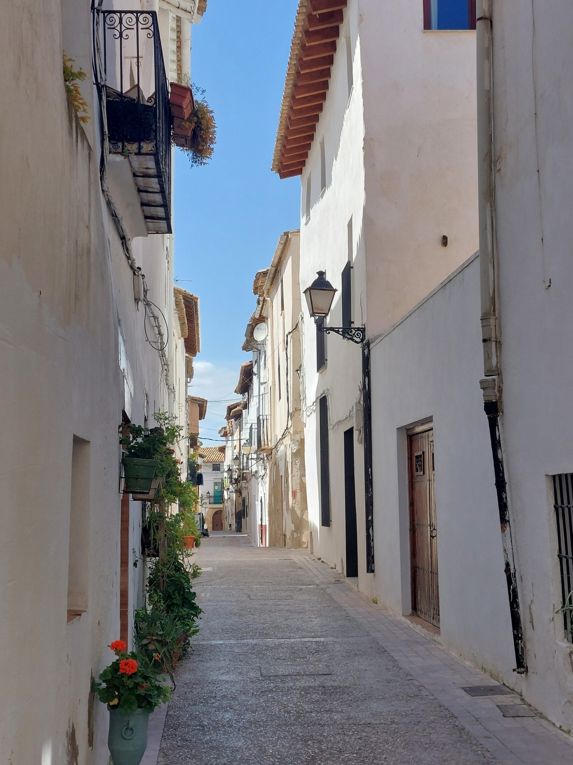 Muestra de Embutidos de Requena 8 de febrero