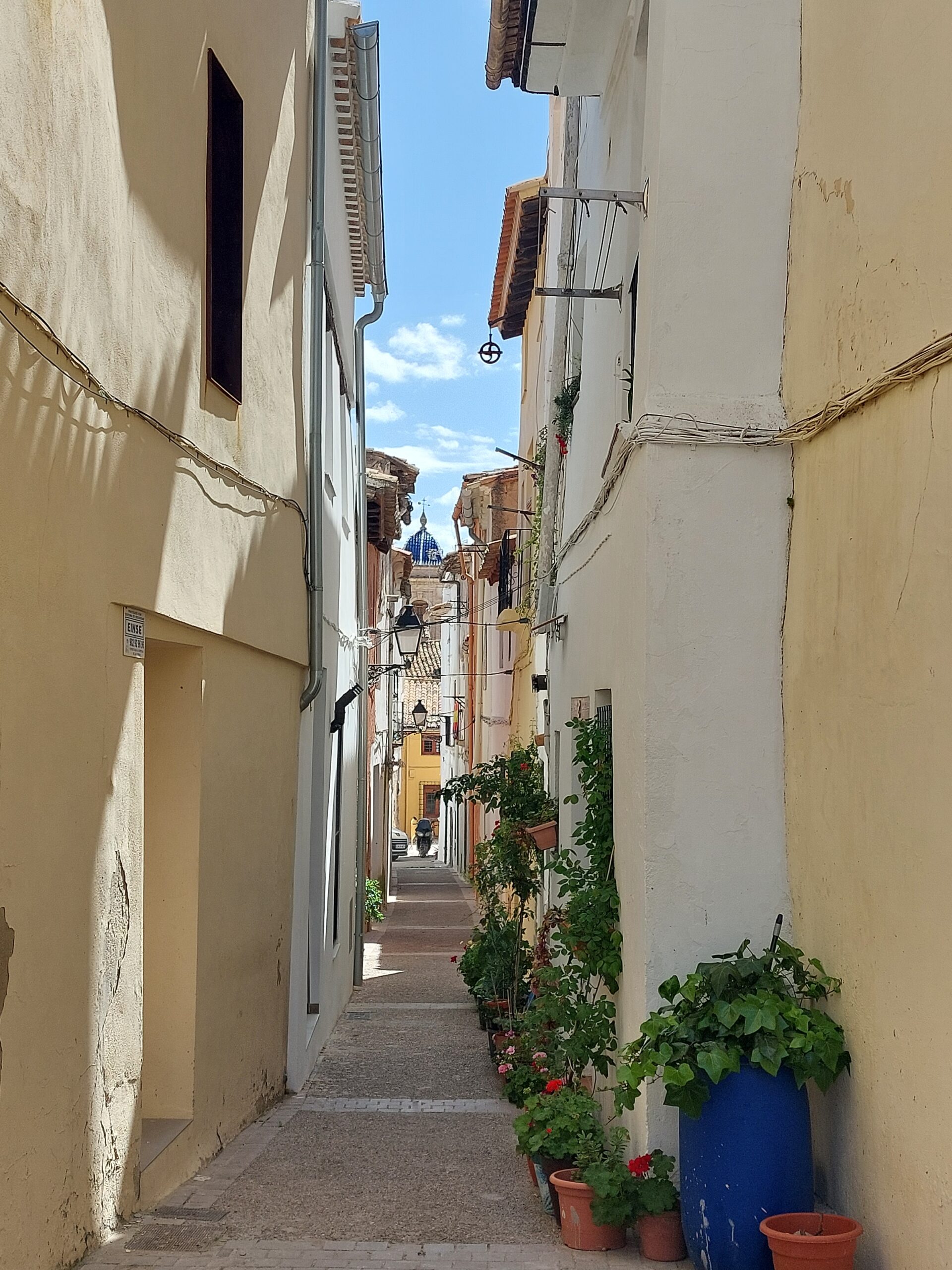 Muestra de Embutidos de Requena 8 de febrero