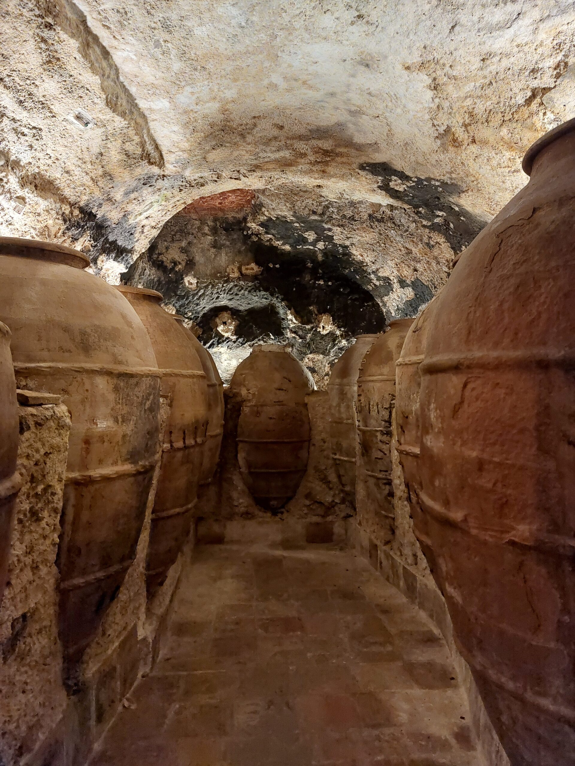 Muestra de Embutidos de Requena 8 de febrero