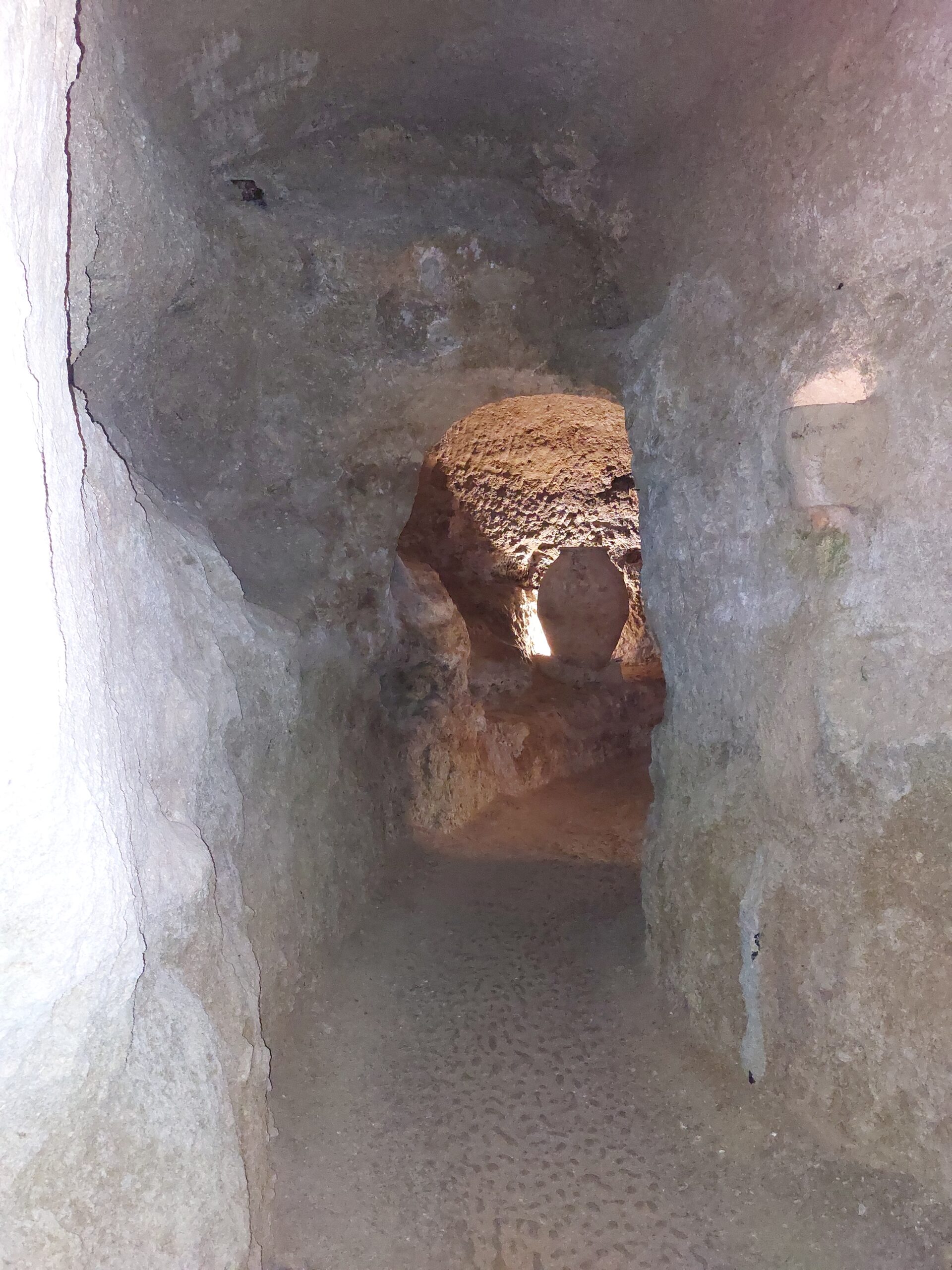 Muestra de Embutidos de Requena 8 de febrero